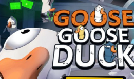 娱乐吃瓜鹅鸭视频下载,鹅鸭视频下载攻略，轻松获取热门娱乐内容