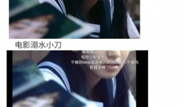 穿书去娱乐圈吃瓜