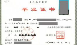 简历教育背景最低学历,我的教育成长之路