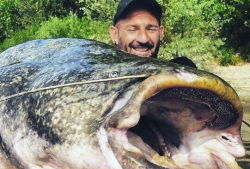 钓鲶鱼图片,揭秘钓鲶鱼的独特魅力