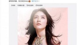 有关陈慧琳的娱乐小说