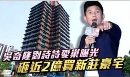 吴奇隆娱乐圈隐形富豪,娱乐圈的隐形富豪传奇