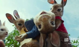 好莱坞搞笑动画,好莱坞搞笑动画大揭秘