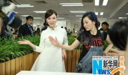 娱乐主编收入,收入背后的辉煌与挑战