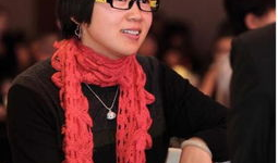 娱乐主编收入,收入背后的辉煌与挑战