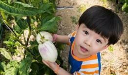 吃瓜小豆说娱乐,吃瓜小豆带你揭秘娱乐圈最新热点