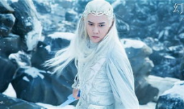 幻城花絮马天宇