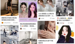 网红图片搜索,揭秘网络红人的魅力与影响力
