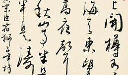 文心照片,探寻摄影中的诗意与哲思