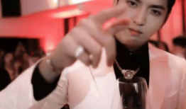 折娱乐贵公子,翩翩公子，风华绝代