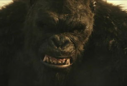 电影金刚图片,金刚的惊世传奇