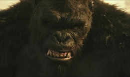 电影金刚图片,金刚的惊世传奇