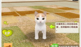 娱乐吃瓜君罗小猫,娱乐吃瓜界的“猫界网红”