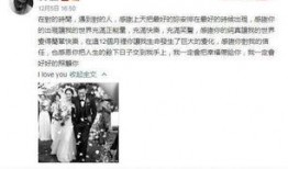 娱乐公司吃瓜事件真相视频