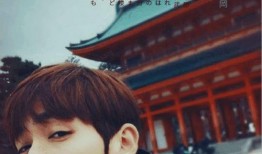 娱乐圈吃瓜爆料朱一龙,娱乐圈爆料中的神秘魅力