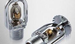 娱乐吃瓜君喷头