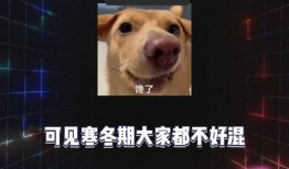 娱乐吃瓜全部,揭秘明星幕后故事，吃瓜群众狂欢盛宴