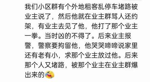 娱乐吃瓜群文案搞笑版,笑料百出，瓜皮满天飞